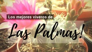 Las Palmas , Directorio de Viveros.