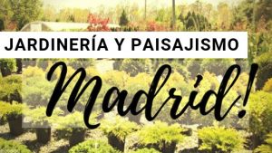 Viveros de Madrid | Jardineria y Paisajismo en Madrid