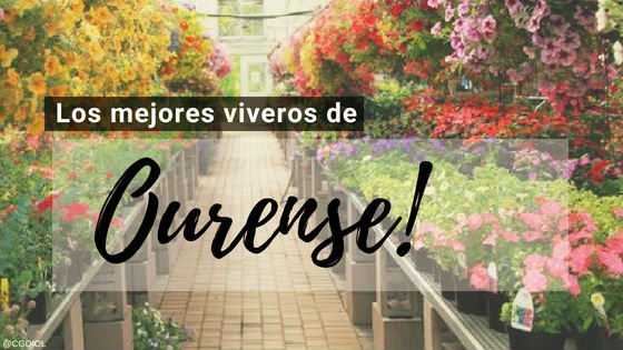 Viveros en Ourense | Comprar Plantas en Orense