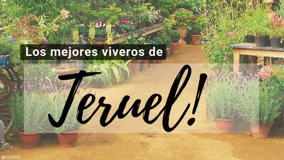 Viveros de Plantas en Teruel | Paisajismo y Jardinería en Teruel
