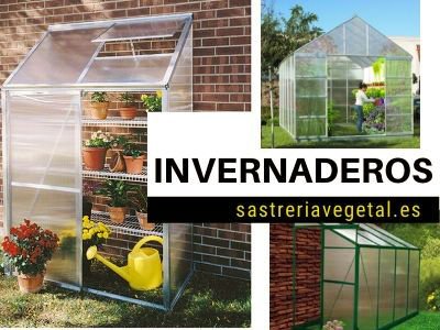 perfecthome Invernadero de jardín de PVC Planta de hogar Invernadero Mini Cubierta de Calentador de jardín 
